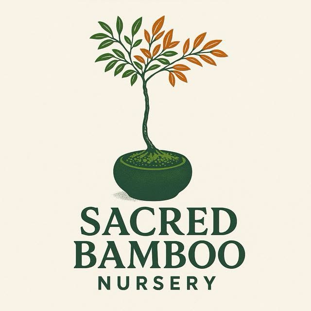Sacred Bamboo Nursery logo